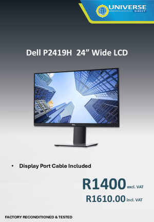 24" DELL P2419H  LCD